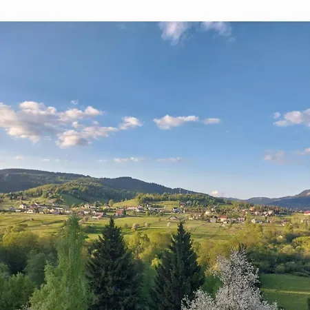 Vlajka